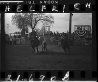 Gene Saunders Steer Wrestling