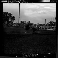 Bill Steppe - Mervin Wilde Team Roping