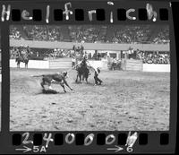 Tom Nesmith Calf Roping