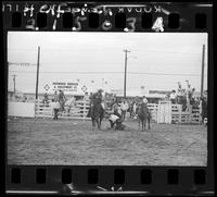 Walter Wyatt Steer Wrestling