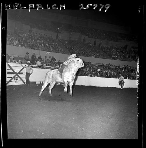 December 1964 Rodeo; 5th Round  BR