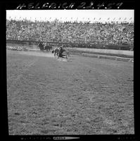 Don Bernard Calf Roping