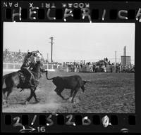 Clyde Upton -  Team Roping