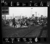 Benny Reynolds Steer Wrestling