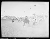 Wild Horse race