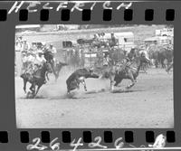 Bill Hamilton - Dan Branco Team Roping