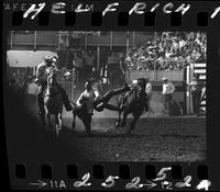 Bob Hedrickson Steer Wrestling