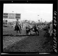 Bob Orrison Steer Wrestling