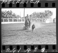 Jim Spurgeon Calf Roping