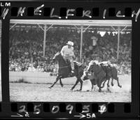 Tater Decker Steer Wrestling