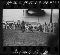 Bob Orrison Steer Wrestling