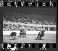 Billy Darnell - Bronc Curry Team Roping