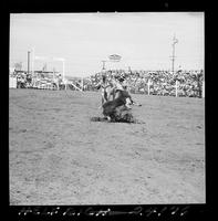 Norman Goosen Calf Roping