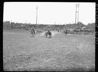 Bill Linderman Steer Wrestling