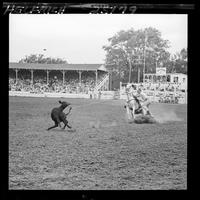 J.E. Teague Calf Roping