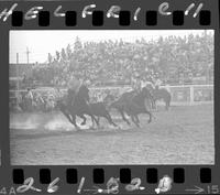 Tater Decker Steer Wrestling