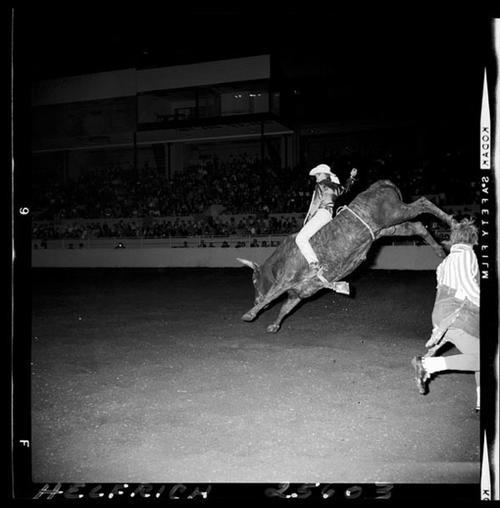 November 01, 1964  "Cow Palace"  Nite