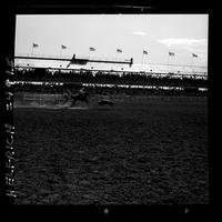 Walter Arnold Steer Roping