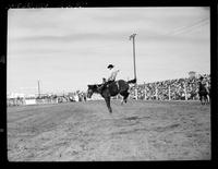 Bob Davis on Red River