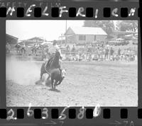 Jerry Paris Calf Roping