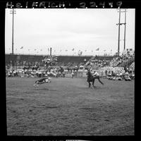 Jerry Anderson Calf Roping