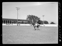 Janette Plunkette Trick Riding