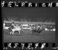 Jim Rodriguez Jr. _ Ken Luman Team Roping