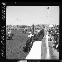 Phoenix Grand Entry