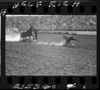 Button Howard Calf Roping