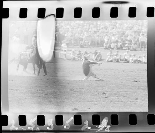 September 16, 1964