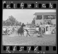 Sonny Davis Calf Roping