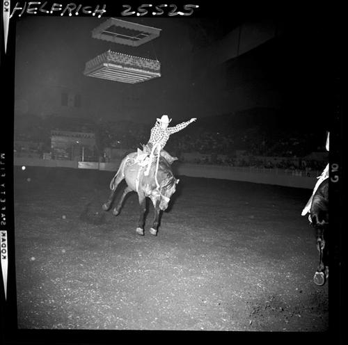 October 27, 1964  "Cow Palace"  Nite