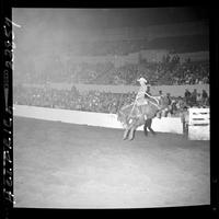 Duane Bruce on Scarlet O'Hara  (K)