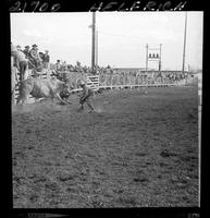 Bill Hulsman off Squaw Butte