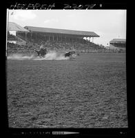 Earl Corbin Steer Roping