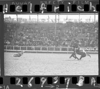 Kenny McLean Calf Roping