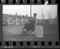 Jeneal Bowman Barrel Racing