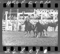 Jim Smith Steer Wrestle