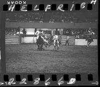 Billy Hale Steer Wrestling