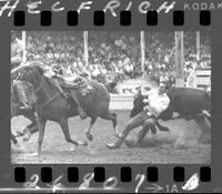 Billy Minick Steer Wrestle