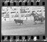 Bob Ragsdale Calf Roping