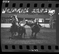 Barry Burke Steer Wrestling