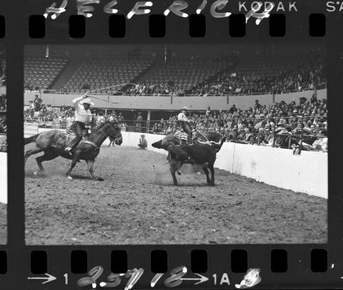 December 03, 1964 Nite, Rodeo; TR