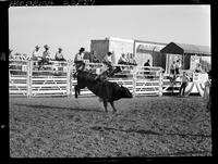 Larry Davis on Gunsmoke