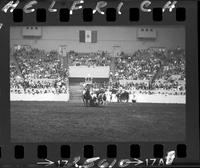 Bill Haskins Steer Wrestling