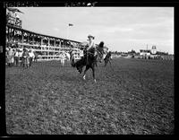 Ross Loney on Rainbow Girl