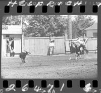 Carl Prelli Calf Roping