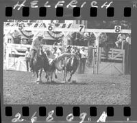 Allen Keller Steer Wrestle