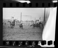 Charlie Ross - Claude Mayfield Team Roping