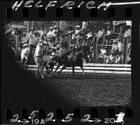 Don Drake Steer Wrestling